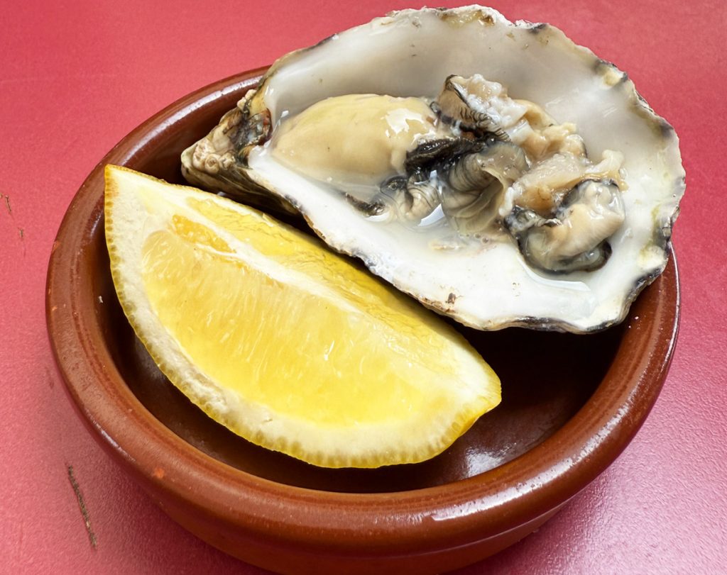 ostra-atlántico